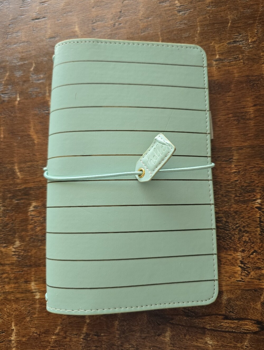 Mint Green Webster's Pages Traveler's Notebook